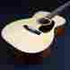 0014-f 0014f Martin New Custom Shop Guatemalan Rosewood 0014 00 14 F 28 Acoustic Guitar