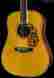 10csbluegrass16 Bluegrass Dreadnought Martin Cs 16 142