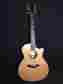 20070322112 Custom Taylor Ga Cutaway Brazilian Rosewood Acoustic Guitar