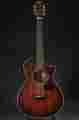 00887766059691 322ce Fret Taylor 12 Seb
