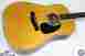 33367 Vintage Artist Santa Cruz 2014 Va Dreadnought Near Mint W Ohsc