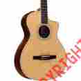 412ce-n Taylor Cutaway Grand Concert Nylon String Acoustic-electric Guitar 887766037262