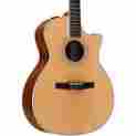 414ce-n Taylor Cutaway Grand Auditorium Nylon String Acoustic-electric Guitar 887766037316