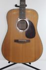 5230 Alvarez Acoustic Guitar Model