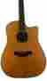 600-spec Taylor W Hard Case
