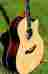 616-ce Taylor 2013 Spring Limited Guitar European Spruce And African Ebony