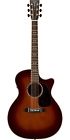 Gpcpa1 729789420419 Martin Plus Cutaway