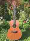 812wal Taylor Rare Vintage 812 Wal W Original Case Mint