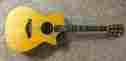 912ce Taylor Cindy Inlays Fishman Blender