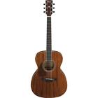 Ac340lopn Ibanez Artwood Series A40lopn
