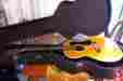 Acoustic12 As434 F-312 Guild F312 1972 String