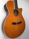 Aeg10niitng Ibanez Aeg10nii Nylon Acoustic 606559807239