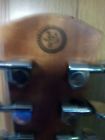 Af65gd-m Alvarez Grateful Dead 50th