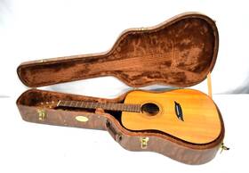 5045g Alvarez Professional 6-string Dreadnought Acoustic Guitar With Case