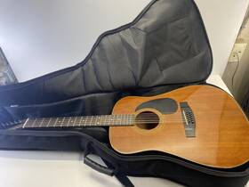 P05021912 Alvarez 5221a 12 String With Case