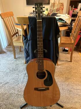 5224 Alvarez Regent Acoustic Guitar 1994