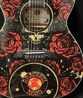Af60gd Alvarez Grateful Dead Dark Star Acoustic Guitar
