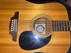 524-12 Alvarez Regent Vintage 12 String Acoustic Guitar With Case