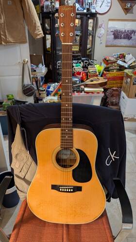 9630 Angelica Model Acoustic Guitar