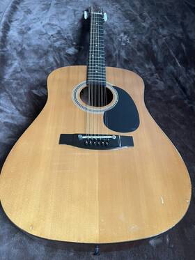 Tw-341 Antares Vintage Mik 12-string Acoustic Guitar