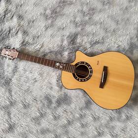 Ga-550c Aosen Magnolia In Early Spring Yulan Chunxiao 40 Inch Entry-level