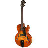 Ar380ce-hb Eastman Guitars John Pisano Signature Archtop Guitar Honey Burst