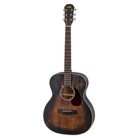 Aria 101dp Delta Player Series Guitar