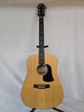 Aria Wg-12 Ariana Acoustic Guitar With Case