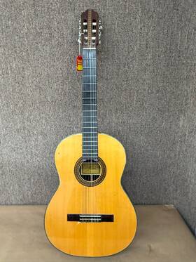 A587 Ariana Vintage 6 String Acoustic Guitar
