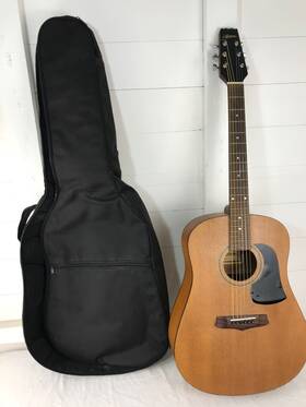 Aw-60 Ariana Acoustic Guitar With Gig Bag