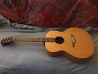 As-100 Avalon Silver Series Acoustic Guitar With Green Gig Bag