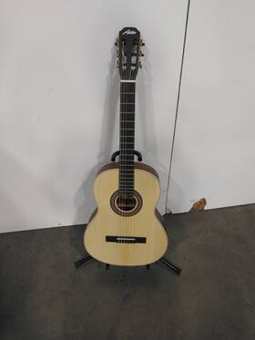 Ac340n Austin Acoustic Guitar