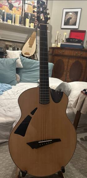 Avian Songbird4a Guitar 4a