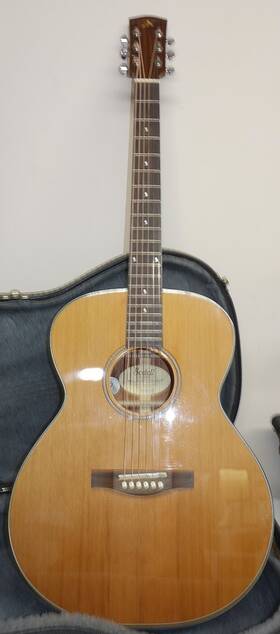 Bedell Hgm-17-gt Dreadnought Acoustic Guitar