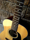 Br-41 Blueridge Br41 Acoustic Ez-play