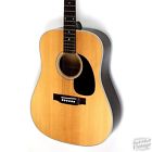 Br-60 Blueridge Dreadnought