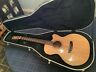 Br45ce Blueridge Guitar