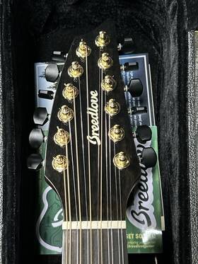 Cc2207099 Breedlove Pursuit Exotic Concert Ce 12-string Acoustic Guitar Sunburst Gig Bag