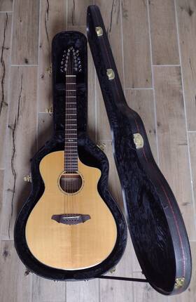 Sme-12 Breedlove Atlas Studio C250 12-string Acoustic Electric