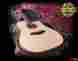 Bto1234 Taylor Custom Dn Dreadnought Premium Guitar Unplayed Condition