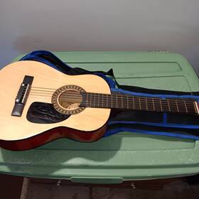 Burswood Jc301fp Student Guitar By Burswood. Model Jc 301 Fp. With Canvas Zip Case