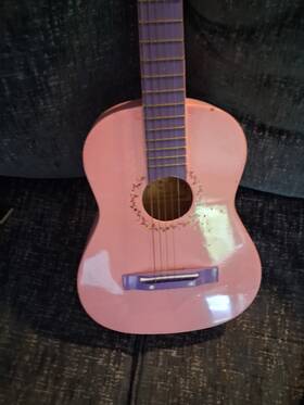 Burswood Jf301 Buvswood Acoustic Guitar Pink Mod