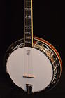 Calico 5-string Banjo Deering