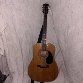 D20n Carlo Robelli 6 String Acoustic Guitar