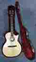 Ce-n Taylor 814 Acoustic Electric Nylon String Guitar Free Shipping Wow