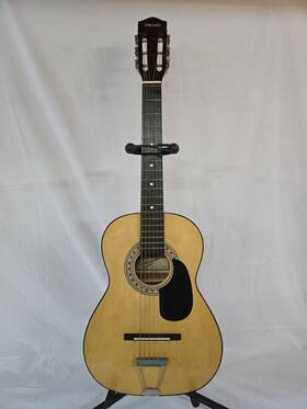 Fg90 Concerto Model Acoustic Guitar With Case