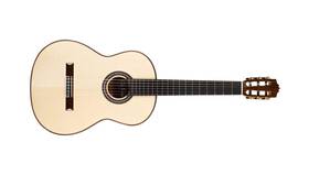 Cordoba 809870065306 F10 Acoustic Nylon String Flamenco Guitar No Case
