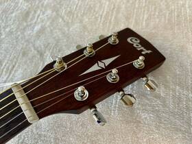 Cort 60op Acoustic Guitar Earth Carrying Bag Solid Spruce Top