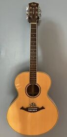 Ntl-20 Cort Acoustic Solid Spruce Top Mahogany Back Pro Setup