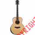 Custom-516emf Taylor Limited Edition 516e Grand Symphony With Arm Rest Acoustic-electric Guita 887766037040